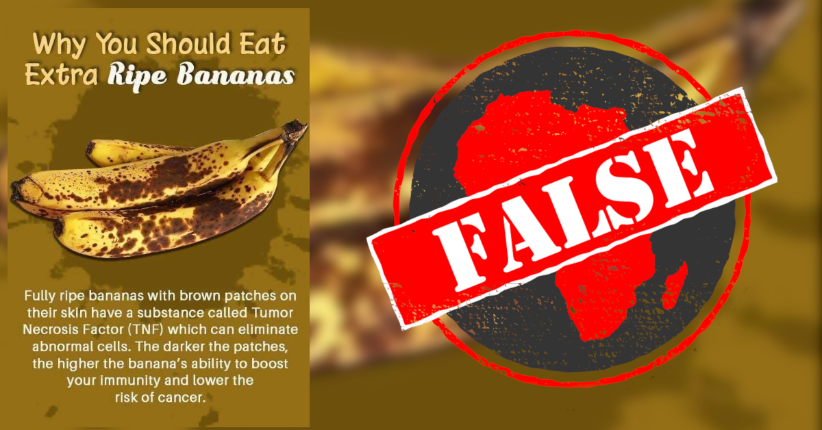 No evidence that bananas contain cancerfighting protein Africa Check